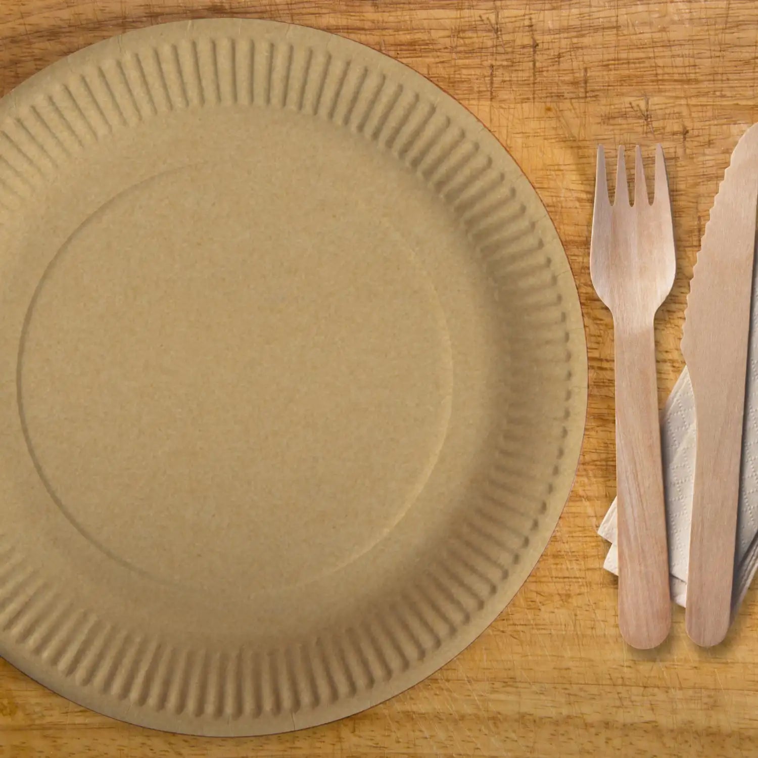 Pappteller fettdicht kraft