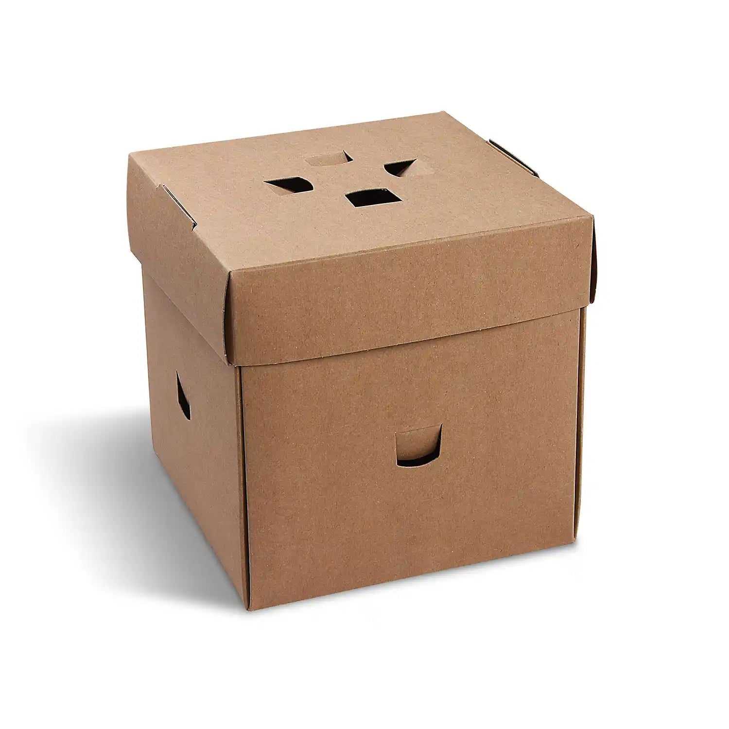 Burgerbox faltbar